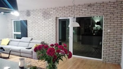 Cegła rozbiórkowa cięta Lico białe